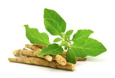 Foto Ashwagandha
