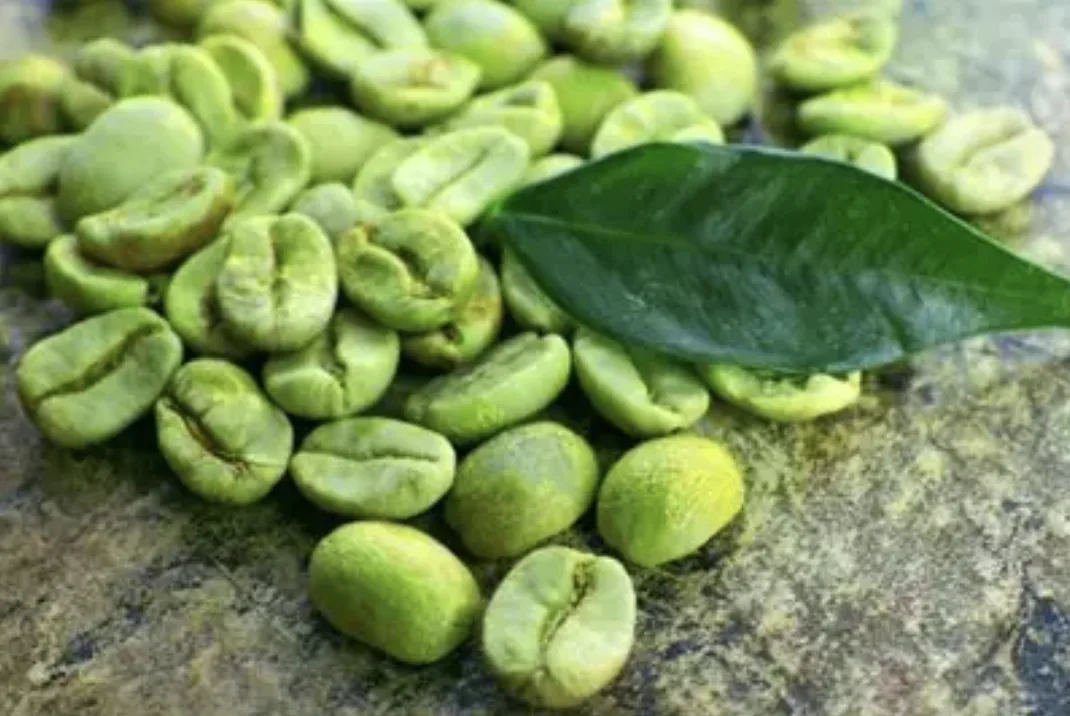 Foto Kopi Hijau