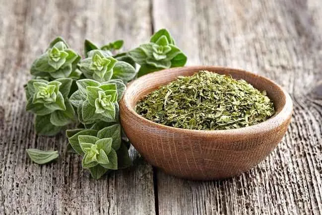 Foto Oregano